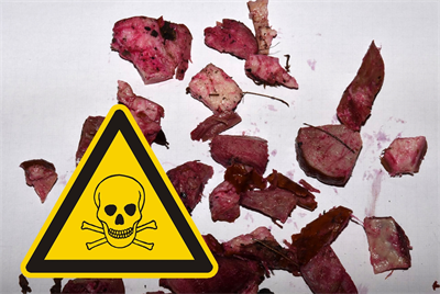Foto für Fleischköder im Hofwiesenpark - es war Gift